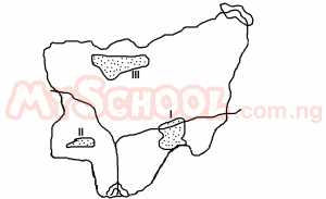 The major export crop cultivated in the area marked III is